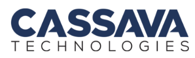 Cassava Technologies - A Pan-African Technology Leader